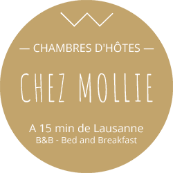 CHEZ MOLLIE BED & BREAKFAST - CHAMBRE D'H&Ocirc;TES &Agrave; 15 MIN DE LAUSANNE